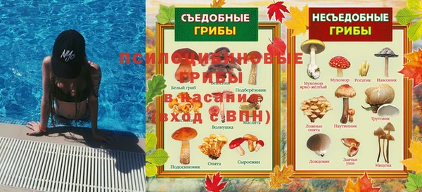spice Армянск