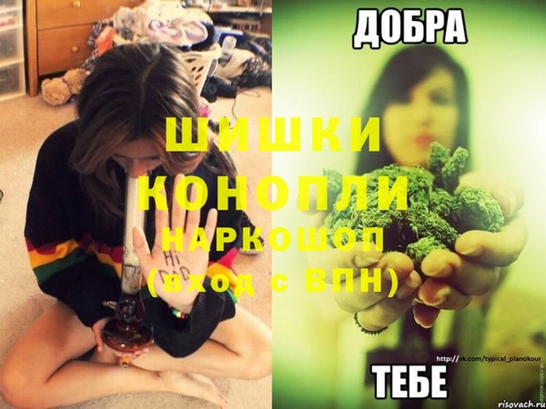 spice Армянск