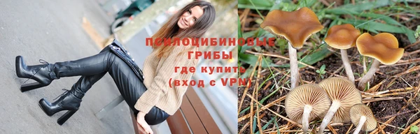 дурь Арсеньев