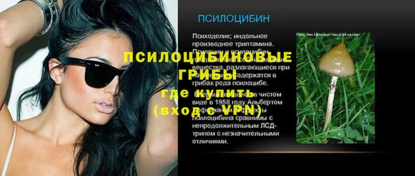 прущие крисы Аркадак