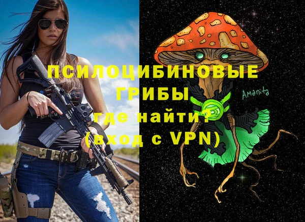 spice Армянск