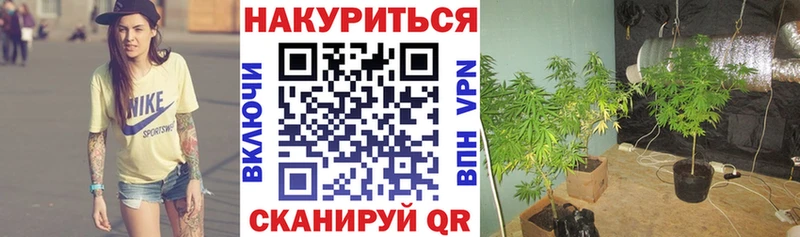 Бошки марихуана гибрид  Купить где  Баймак 